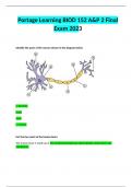 Portage Learning BIOD 152 A&P 2 Final Exam 2023