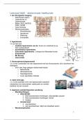 Verpleegkundig redeneren en handelen verdiepend 6 - abdominale heelkunde