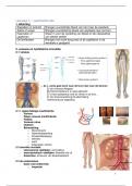 verpleegkundig redeneren en handelen verdiepend 6 - vaatheelkunde