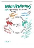 Protein Trafficking Overview