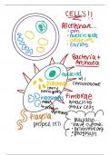 Prokaryotes, Eukaryotes, and Cell Organelles