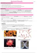 Bacterial Diversity 