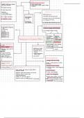 Business studies grade 12 - booklet and mindmaps  