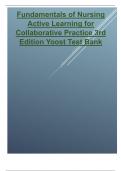 Test Bank for Fundamentals of Nursing Active Learning for Collaborative Practice 3rd Edition latest updated  by Yoost 