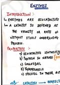 Enzyme and its classification