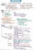 Human anatomy  complete bones notes