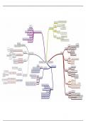 Mindmaps Lessen Immunologie 1 (Hematologie 1) Samengebundeld