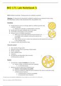 lab_5.docx (1) questions and answers} Latest 2023 - 2024 100% correct answers