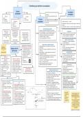 Samenvatting - Ontwikkeling van identiteit via socialisatie