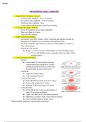 Maternal Theory Exam 3 