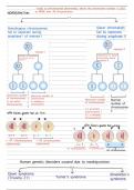 Human genetic disorders notes