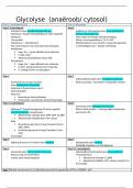 Samenvatting biochemie 2de bachelor farmacie UGent 