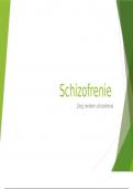 Klinische les Schizofrenie