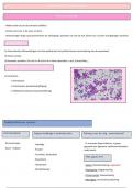 Algemene microbiologie: hoofdstuk 5; Systematiek van de bacteriën ( voedings- en dieetkunde)