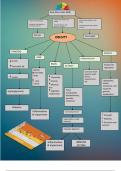  Flowchart of Obesity and its relevance to metabolism