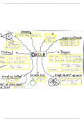 Circles Maths JEE Short Notes