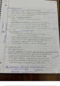 Class Notes Complete Prokaryotes