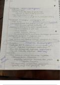 Class Notes Week 5 Eukaryotes