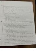 Class Notes Week 12 Gene Regulation