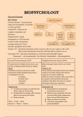 Summary -  Biopsychology