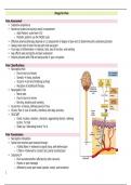 SDSU SON Pharm: Pain Medications