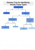 Decision Tree