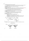 BIS2C LAB PRACTICAL EXAM  (Graded A+)