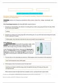 Gizmos Student Exploration Photoelectric Effect (ANSWER KEY)