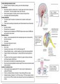 Ocular Motility Disorders - 3rd year