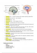 BIOL 102 Package Deal