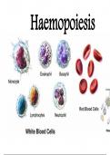 (PHYSIOLOGY) haemopoiesis