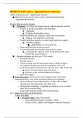 BIOD151 A&P Lab 6 - Appendicular muscles.