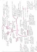 GCSE Higher Chemistry Organics I and II