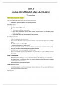 NUR 2092 Health Assessment Exam 2 Study Guide Rasmussen