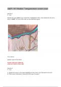 A&P1 101 Module 7 integumentary system exam