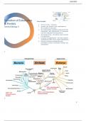 Eurkaryotic Cell Origin & Multicellularity