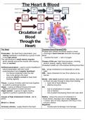 GCSE AQA Triple Science Biology Higher - Animal Tissues, Organs & Organ Systems