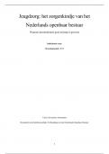 Essay Jeugdzorg voor het vak Dynamiek van interbestuurlijke verhoudingen in het Nederlands openbaar bestuur