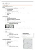 Pathologie MSK 2 