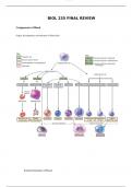 BIOL 235/BIOL235: Final Exam Review Version A (Chapter 19 to 29 along with specific notes): Athabasca University