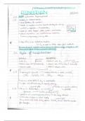 iGCSE Biology summary - Respiration 