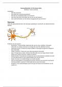 complete samenvatting human body 1.2c (biologische psychologie)