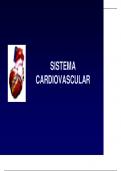 sistema cardiovascular