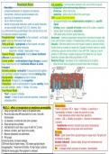 OCR Biology Biological Membranes 2.1.5 Revision summary - By A* Student