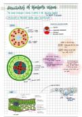 BIOLOGY - Transport In Plants 