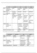 Handig schema van SOA's pathofysiologie revaki