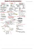 Chapter 5 microbial metabolism 