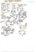 Chapter 4: eukaryotic vs prokaryotic cells 