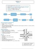 Biolgy notes on the cell (describes each organelle)