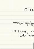 Glycosaminoglycan and mucopolysaccharidoses 